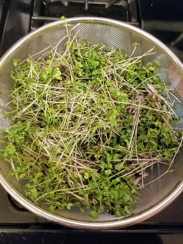 Grow a Salad a Day in 5 Minutes: Complete Microgreens Guide